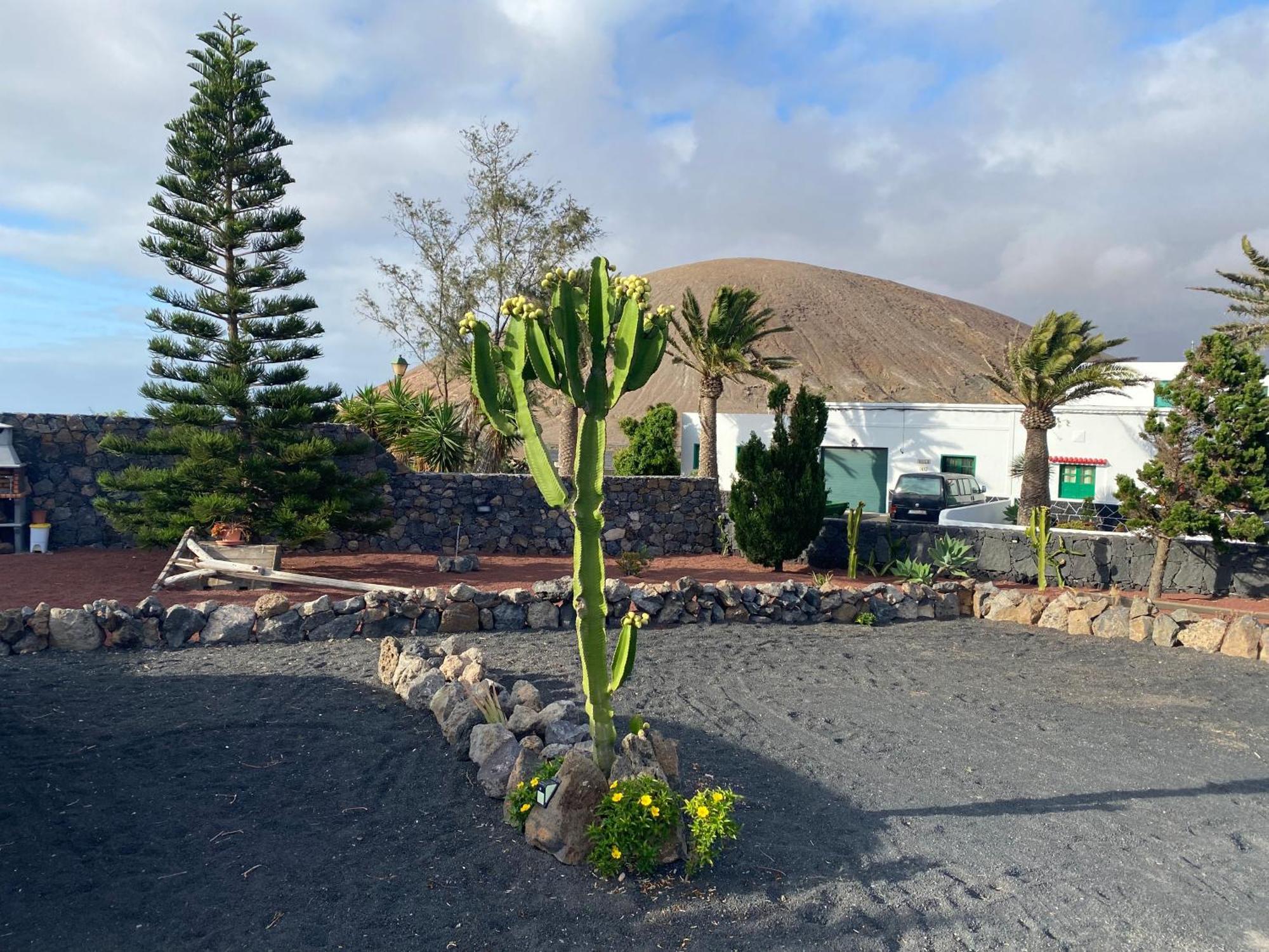 فيلا Casa Carla La Vegueta المظهر الخارجي الصورة